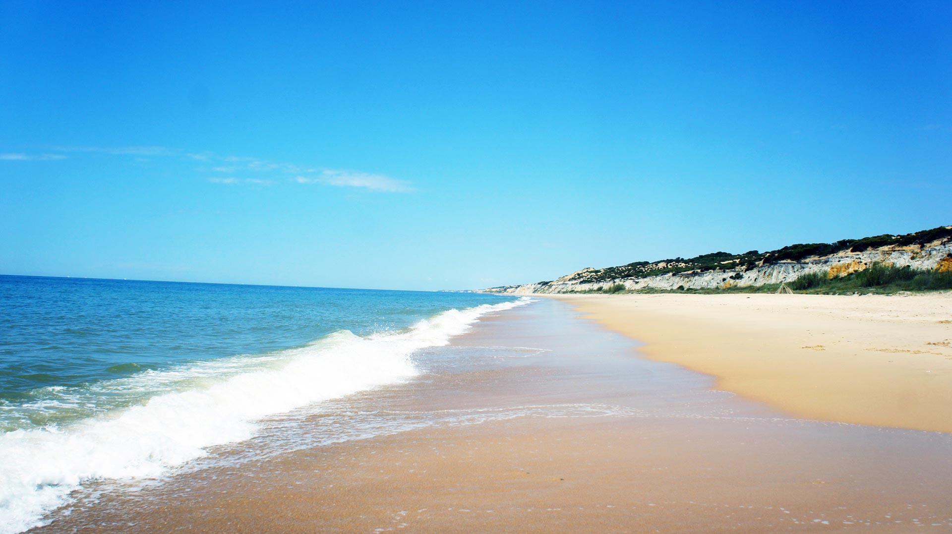beach